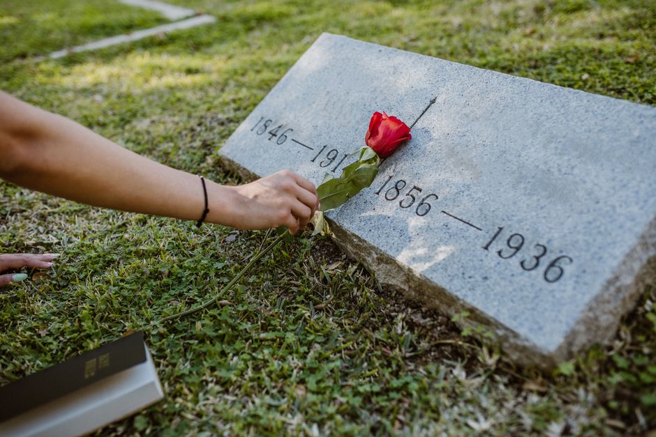 A person placing a red rose with green leaves on a grey granite headstone engraved with the years 1846–1916 and 1856–1936, which rests on a grassy cemetery plot illuminated by natural light. The i